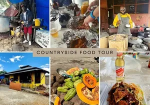 Jamaican Countryside Food Tasting Tour from Montego Bay