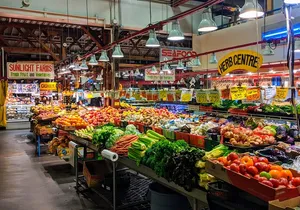 Vancouver Shore Excursion Pre Cruise city Tour & Airport Drop Off