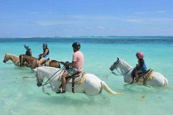 Horse back riding (Punta Cana/Bavaro)