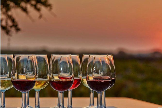 Private Wine Tour Through the Grapevine