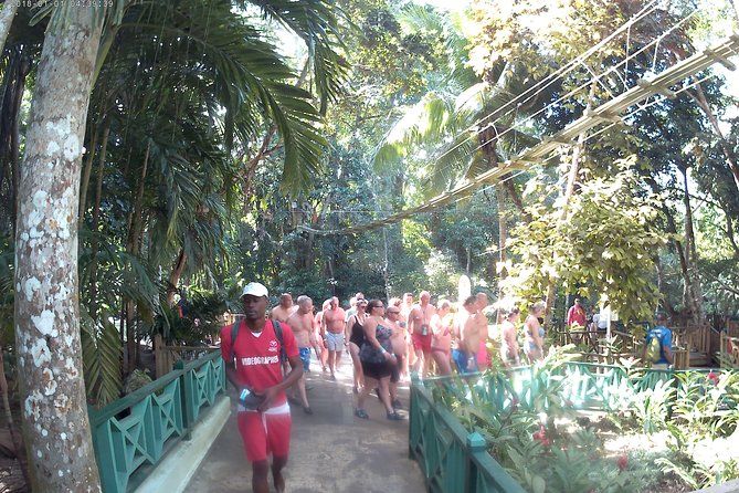 Zip Line over the Dunns River Falls
