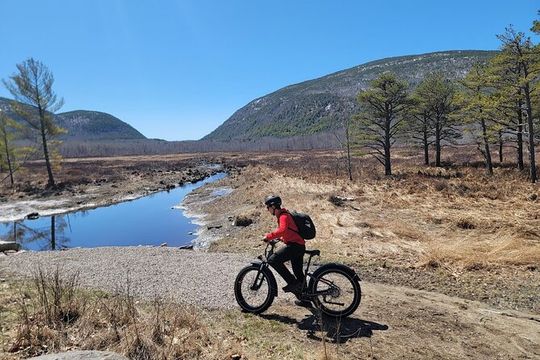 Fat Tire E-Bike Rental in Bar Harbor
