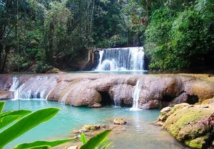 Customizable Combo package to Black River Safari and YS Falls