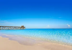 Private Transfer in SUV Orlando to Port Canaveral