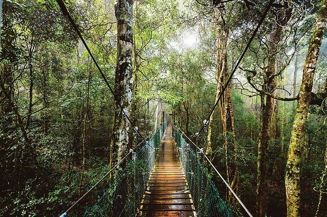 O'Reilly's & Lamington National Park from Gold Coast