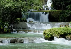 Full-Day South Coast - YS Falls, Pelican Bar & Black River Safari