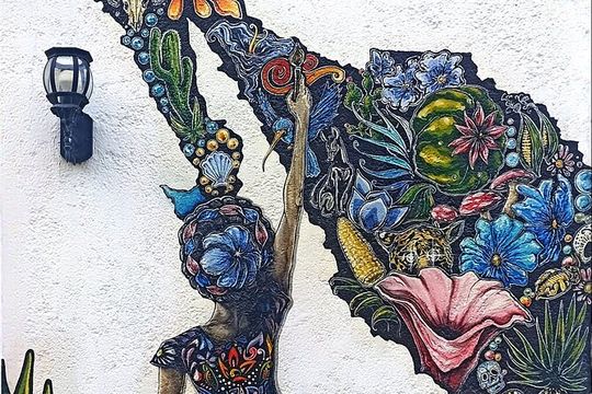 Private San Jose del Cabo Treasure Hunt