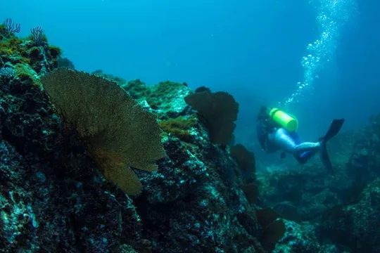 PADI Discover Scuba Diving in Sayulita No Certification Needed