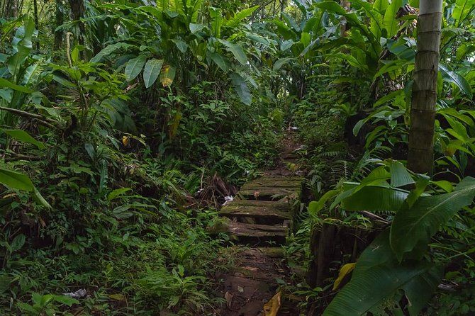 Half Day Grenada Sunshine Highlights Tour