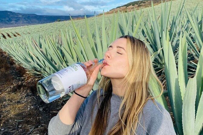 Oaxaca Countryside: Agave Fields & Mezcal
