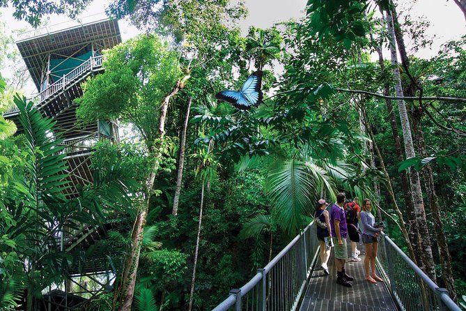Daintree Discovery Centre Single Pass