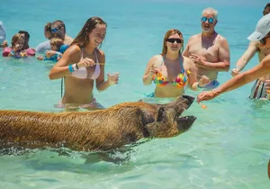 Guided All Inclusive Beach Day Excursion in Bahamas