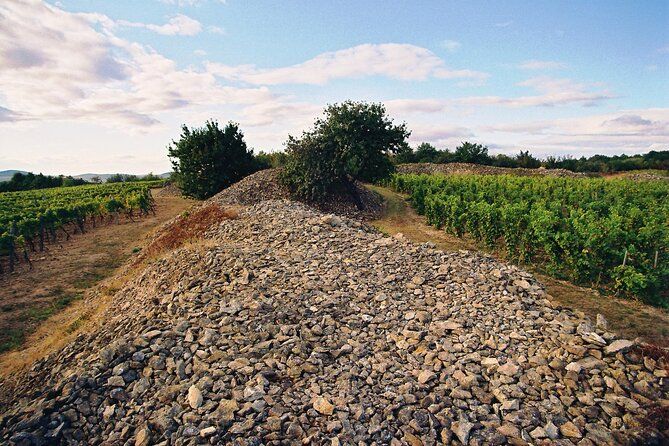 Full-Day Custom Tokaj Wine Tour