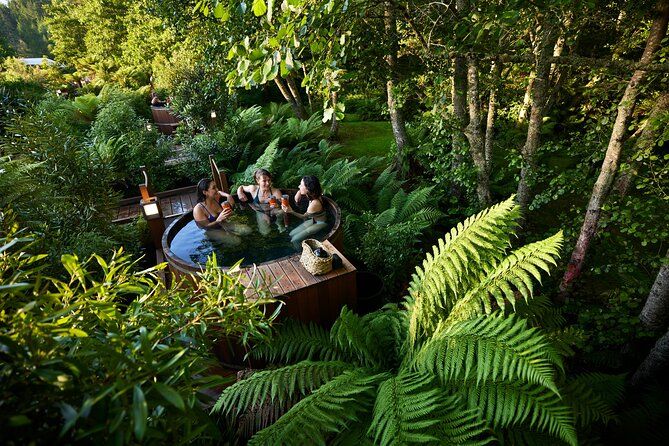 Rotorua Forest Hot Tub Soak at Secret Spot