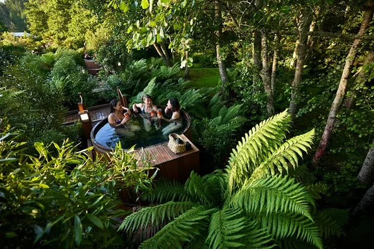 Rotorua Forest Hot Tub Soak at Secret Spot