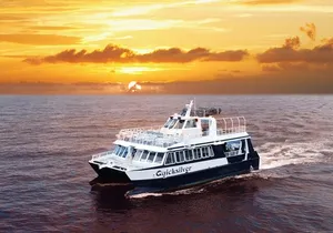 From Ma'alaea Harbor: Sunset Dinner Cruise Aboard the Quicksilver