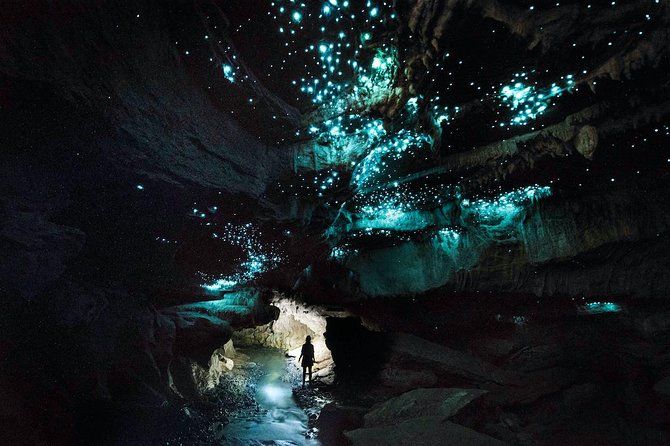 Waitomo’s Hidden Gem: Off the Beaten Track Glowworm Cave Tour