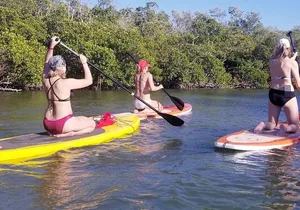 Stand Up Paddleboard Rental on Big Hickory Pass