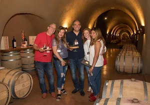 8 Hour Custom Wine Country Tour