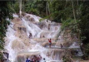 Montego Bay to Dunn's River Falls Half-Day Trip