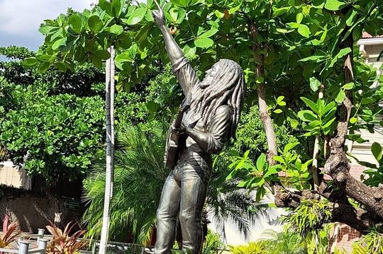 Private Tour in Dunns River Falls