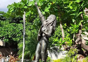 Private Tour in Dunns River Falls