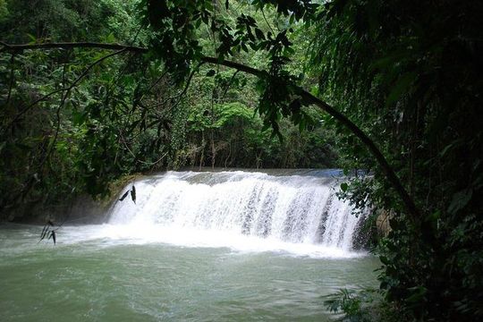Ys Falls Private Tour