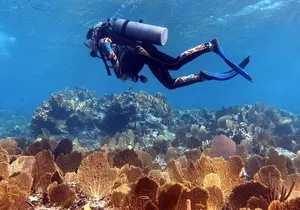 6 Days 5 Nights Sailing Catamaran Experience in Exumas, Bahamas