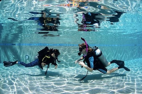 PADI Open Water Course in Cabo San Lucas