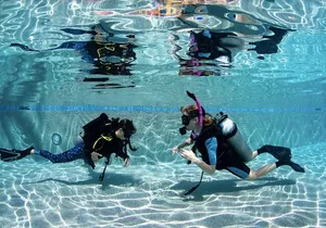 PADI Open Water Course in Cabo San Lucas