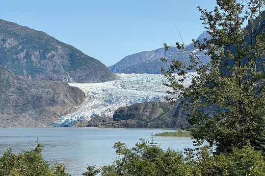 Mendenhall Glacier and Whale Watching Tour