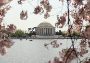 Private Pedicab Tour of DC Monuments and Memorials