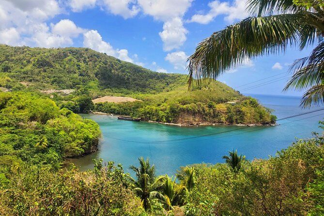 "Tropically Yours"