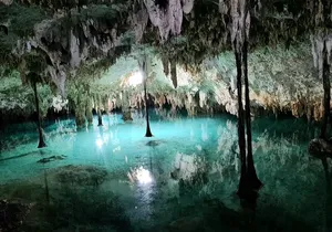 Private Tour Cenotes Sac Actun The Longest Underground River