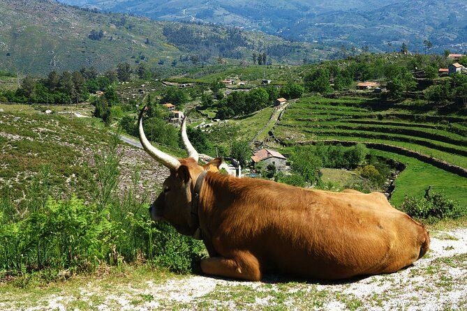 Gerês Private Tour (All Inclusive)