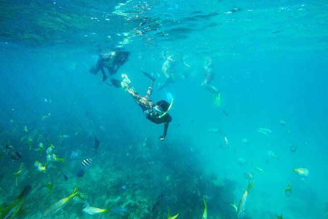 All Inclusive Half Day Sail and Snorkel