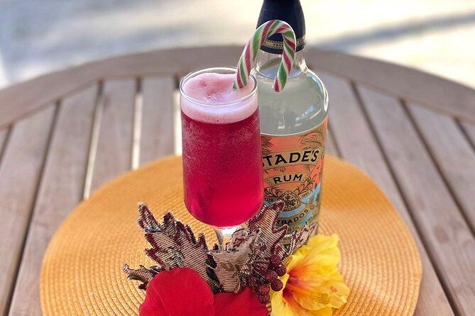 Mixology Class in Bridgetown – 10 Minutes from Cruise Terminal