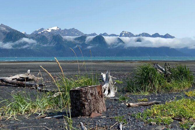 Tonsina Beach Hike with Alaska Guided Hikes