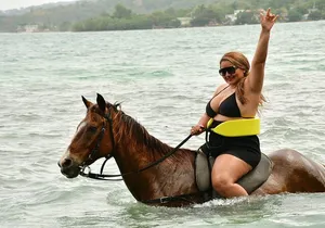 Horseback Ride Experience