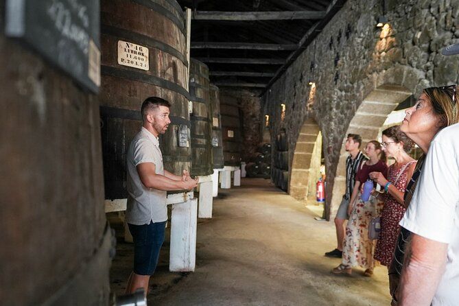 Port Wine Tour | 3 Cellars | 7 Tastings | 12 Participants Maximum