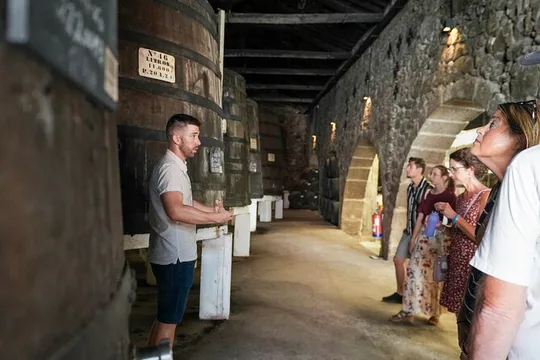 Port Wine Tour | 3 Cellars | 7 Tastings | 12 Participants Maximum