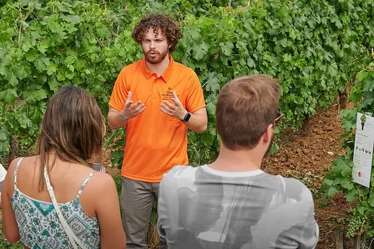 Saint-Emilion Grand Cru Classé: Visit & Tasting in English