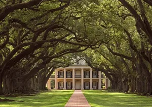 Oak Alley Plantation Half-Day Tour from New Orleans
