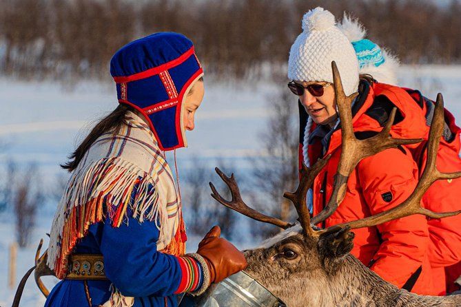 Reindeer Feeding & Sámi Culture Experience