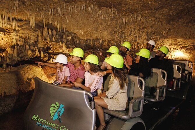 Harrison's Cave Tour & Monkey Zipline, Barbados
