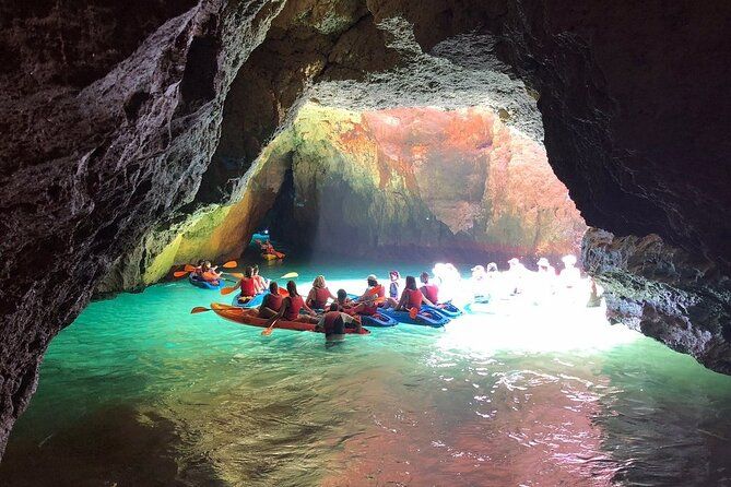 Kayak Tours with Amazing Caves, sea life and Marine Biologist.