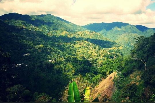 Bob Marley NineMile Home Tour from Montego Bay Area & Cruise Port