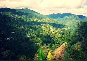 Bob Marley NineMile Home Tour from Montego Bay Area & Cruise Port