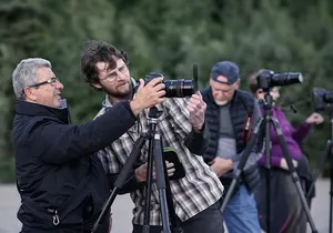 Denali Photo Excursion