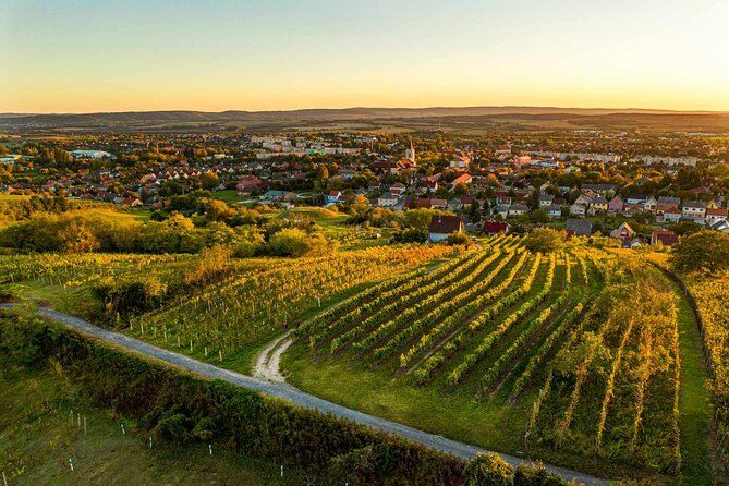 Eger private tour to the home of Bull's Blood wine with taste!